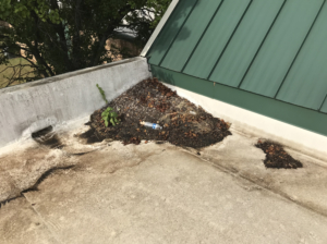 Preventative Maintenance Dirty Roof